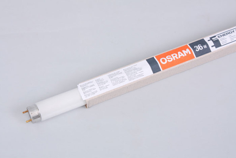 Лампа Osram L36W/640(20) G13 холодный белый свет