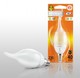 Лампа светод.ECOWATT ВXS35 FL 4(40) W 3000К Е14  теп. бел свет свеча нитевидн. прозрачная, Россия