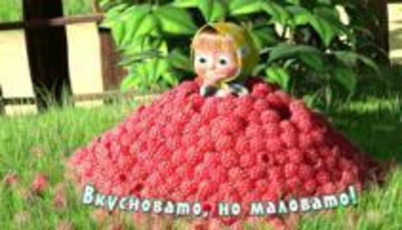 Салфетка МАША И МЕДВЕДЬ - Малина  ММ4429-01/8
