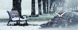 5020-111 Часы настенные Зимняя аллея 21Век