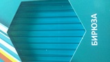 Поликарбонат сотовый 4мм бирюза 2,10*12,00м Primavera Россия