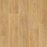 5м 236M Stars Columbian Oak (140) линолеум IDEAL