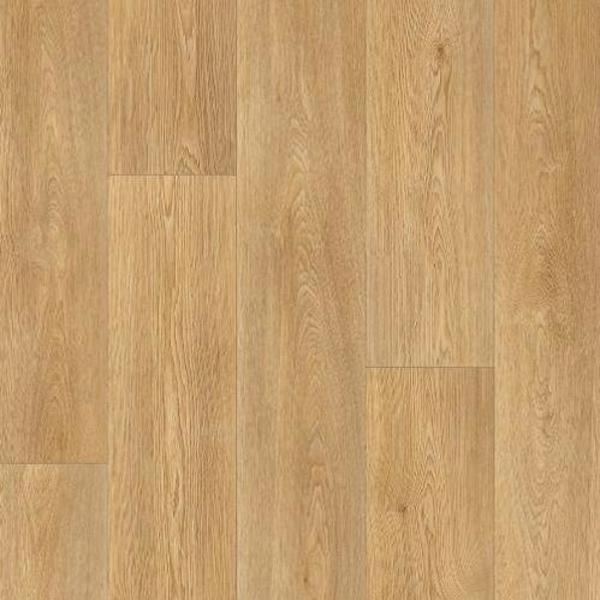 5м 236M Stars Columbian Oak (140) линолеум IDEAL