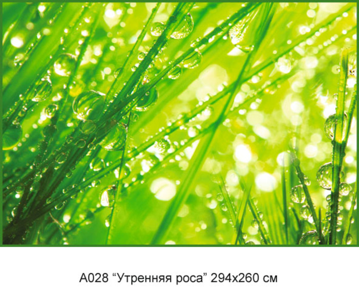 Фотообои бумажные 12л 294*260 Утренняя роса А028, Россия Тула