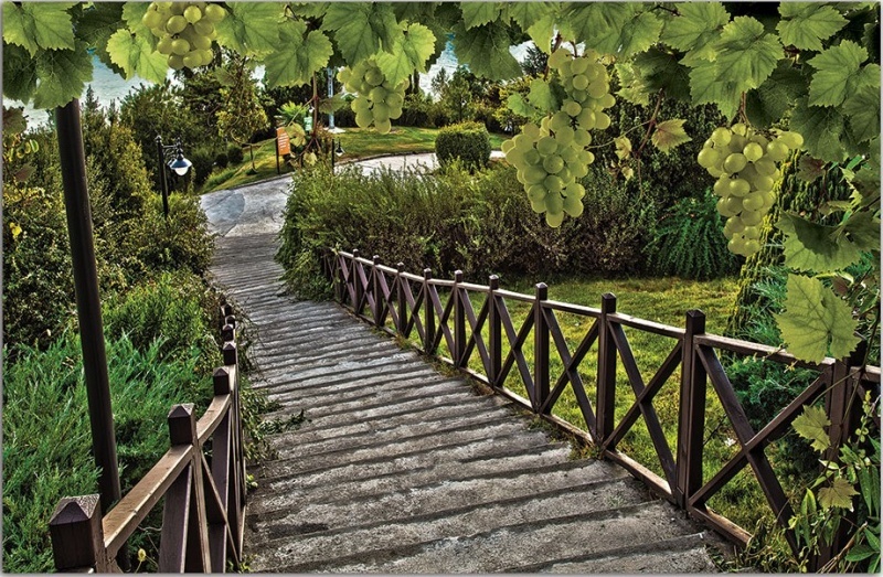 2333Р8 фотообои Соло 3,68*2,54м (4 части)