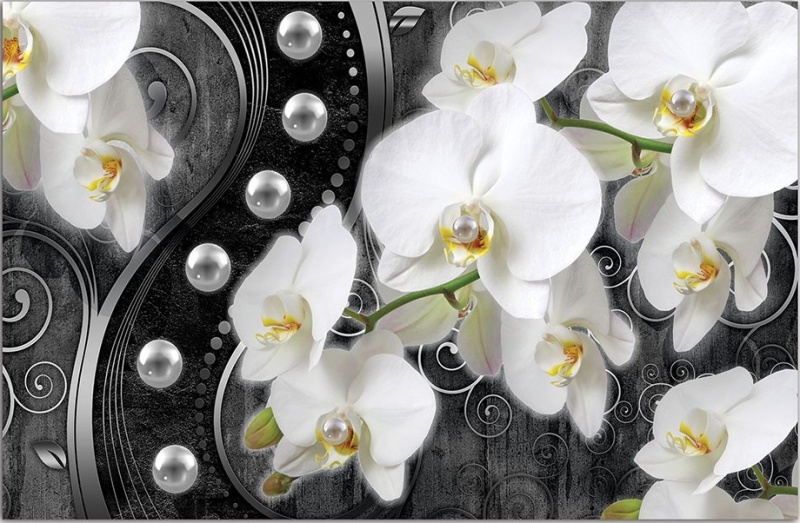 2973V4 фотообои Соло 2,54*1,84м (2 части)