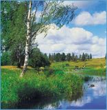 6л Русская природа 196*201 Тула 2011  (10) №9