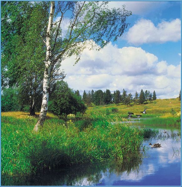 6л Русская природа 196*201 Тула 2011  (10) №9