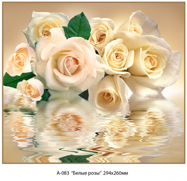 Белые розы фотообои 12 листов А 083 294*260 (6)