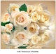 Белые розы фотообои 12 листов А 083 294*260 (6)