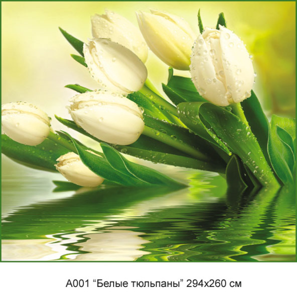 Белые тюльпаны фотообои 12 листов А001 