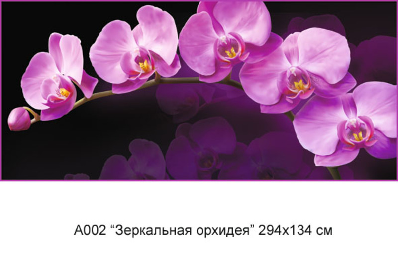 Зеркальная орхидея фотообои 6л А002 (6)