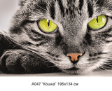 Кошка фотообои 4л А047 (6)
