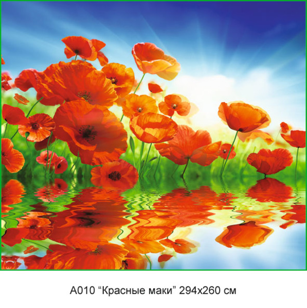 Красные маки фотообои 12л А010 294*260 (6)