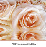 Нежная роза фотообои 12л А014 (6)