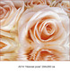 Нежная роза фотообои 12л А014 (6)