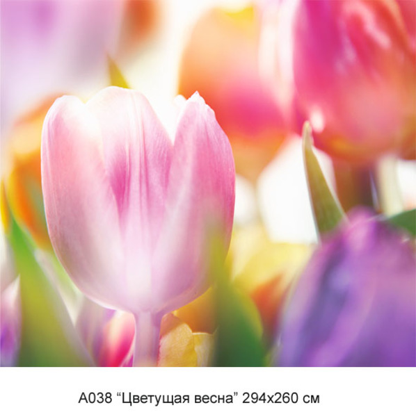 Цветущая весна фотообои 12л А038 (6)  снят