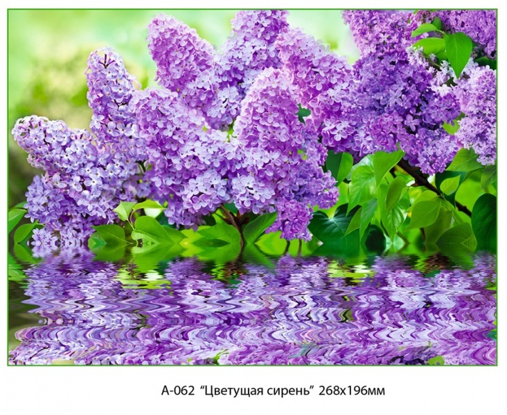 Цветущая сирень фотообои 8л А062 268*196 (6)