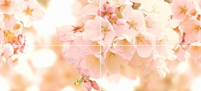 Cherry панно многоцветный CW2H454DT 88*44  Cersanit