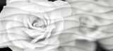 Wave BlackFlowers вставка  черно-белый WA2G442D 20*44 сорт1  Cersanit (12)