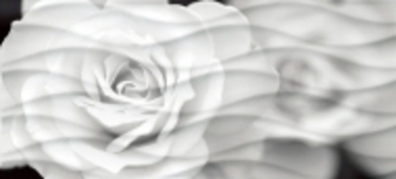 Wave BlackFlowers вставка  черно-белый WA2G442D 20*44 сорт1  Cersanit (12)