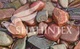 Коврик универсальный Spring PHOTOPRINT 60*90см, P104, Shahintex, Китай